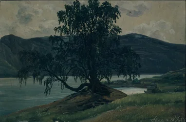 Björken