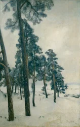 Från Bogstad vatten