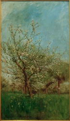 Blommande träd Uerdenbach