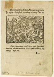 Manna-regnet från Biblische Historien Künstlich fürgemalt, plansch fem från Woodcuts from Books of the XVI Century