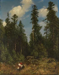 Schwarzwaldgranar (bärplockare)