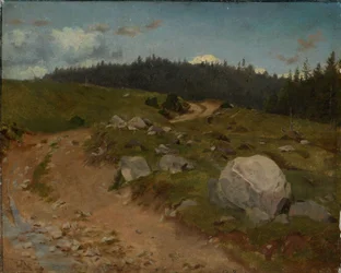 Stenig stig vid skogsbrynet
