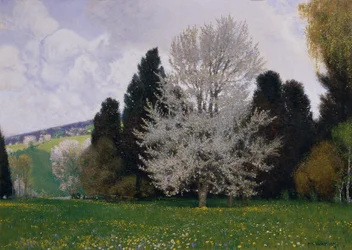 Vår i Wienskogen
