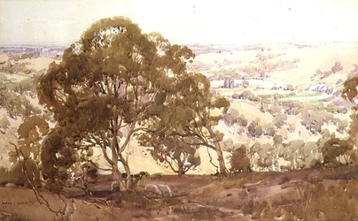 Landskap