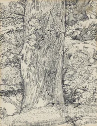 Träd, 1916