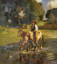 Bevattningsplatsen