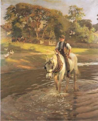 Vatna hästen (färg litho)