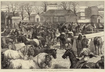 Matförsörjningen i Paris, Butchers
