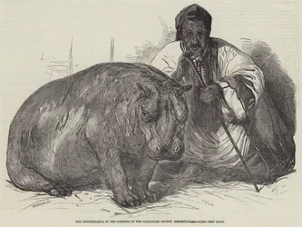 Flodhästen, i Zoological Societys trädgårdar, Regent