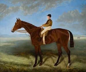 Salpinctes-en kapplöpningshäst, ca 1814-82 (olja på duk)