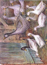 Varför jag förklarar, 1920