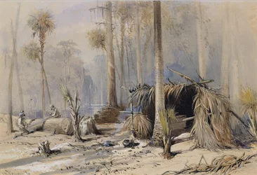 Cypress-Shingle Yard, Ocklawaha River, Florida, 1870.