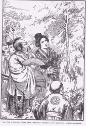 Alla vissna träd täcktes omedelbart av vackra körsbärsblommor (Den gamle mannen som fick vissna träd att blomma) (litografi)