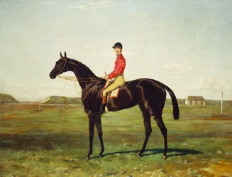 En kapplöpningshäst med Jockey uppe på racerbanan på Newmarket