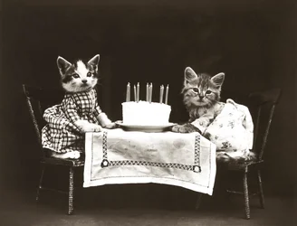 Serie med kattungar: Födelsedagskalas, ca 1914 (silvertryck)