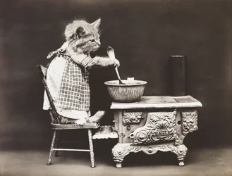 Serie med kattungar: Kock vid spisen, ca 1914 (silvertryck)