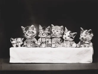 Serie med kattungar: Sista måltiden, ca 1914 (silvertryck)