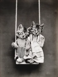 Serie med kattungar: På en gunga, ca 1914 (silvertryck)