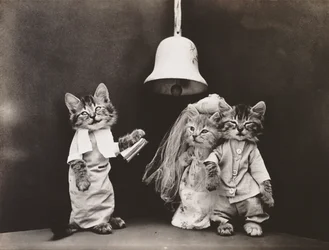 Serie med kattungar: Bröllop, ca 1914 (silvertryck)