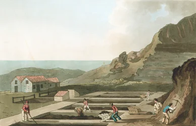 Allmän bild av ett Alum-verk i Whitby-området, Yorkshire, 1814