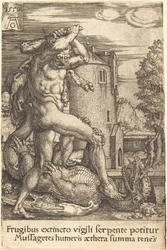 Hercules Slaying the Dragon, 1550.