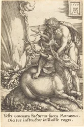 Herkules och hinden
