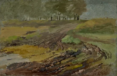 Korgspår på fältet