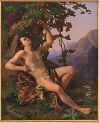 En ung faun som plockar druvor