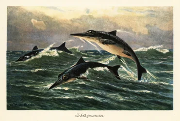 Utdöda ichthyosaurier hoppar över havet.