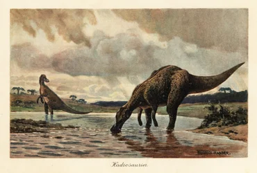 Hadrosaurier eller anknäbbsdinosaurier som matar i en flod.