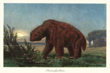 Megatherium americanum i månskenet.