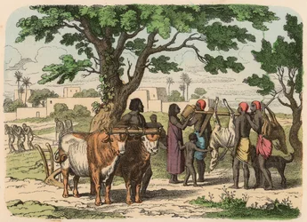 Forntida Egypten: jordbruk och jakt