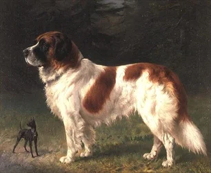 En St Bernard och en dvärgpinscher