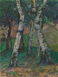 Björkar på Barkenhoff, 1913.