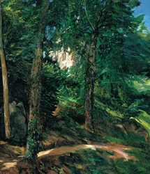 Slottsområde i Lichtenberg i Odenwald
