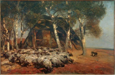 Schnucken flock på Koben