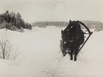Första världskriget: 