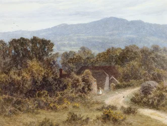 Bakhuvud från Sandhills, Witley