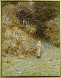 I Primrose Wood