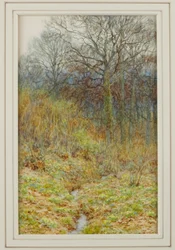 Our Primrose Wood, 1913