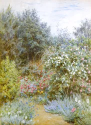 Rosor i Gertrude Jekylls trädgård, Munstead Wood, Surrey (akvarell)