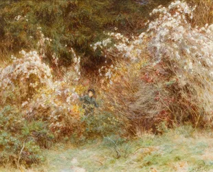Travellers Joy: A Surrey Hedgerow (wc på papper)