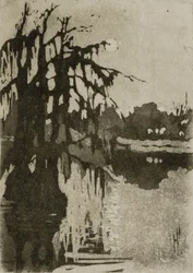 Cypress träd