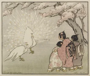 Vit påfågel, 1914