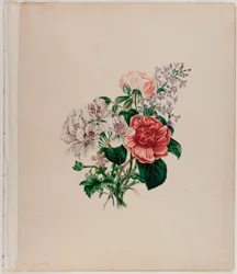 St. Leon Bouquet, ca 1842 (akvarell på papper)