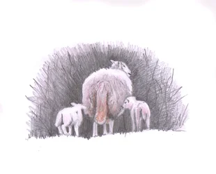 Följ, 2016, (pennteckning)