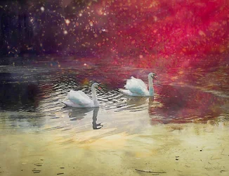 Frosted Lake, 2019