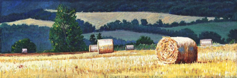Höbalar på sluttning, 2012,