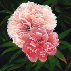 Magdalen College Peonies, 2023 (olja på duk)
