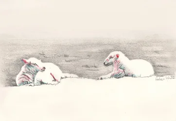 Tupplur, 2016, (pennteckning)